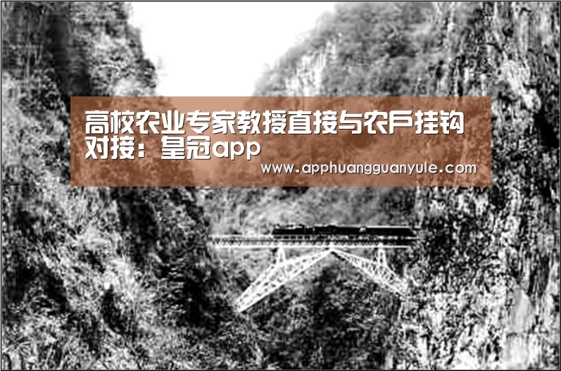 皇冠娱乐
