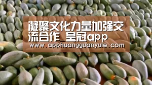 凝聚文化力量加强交流合作_皇冠app(图4) 皇冠娱乐官网