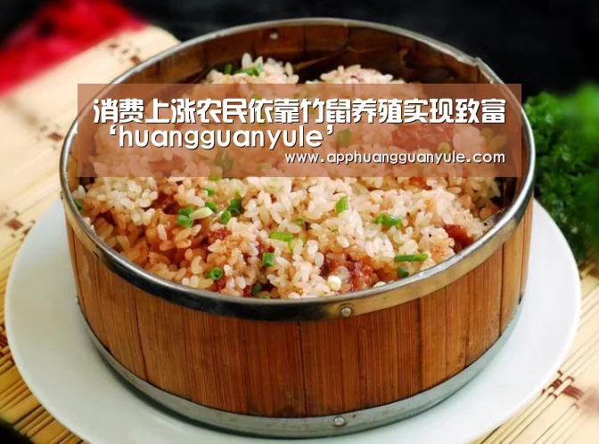 消费上涨农民依靠竹鼠养殖实现致富‘huangguanyule’(图2) 皇冠娱乐