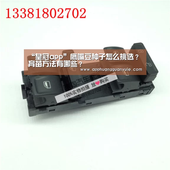 皇冠app