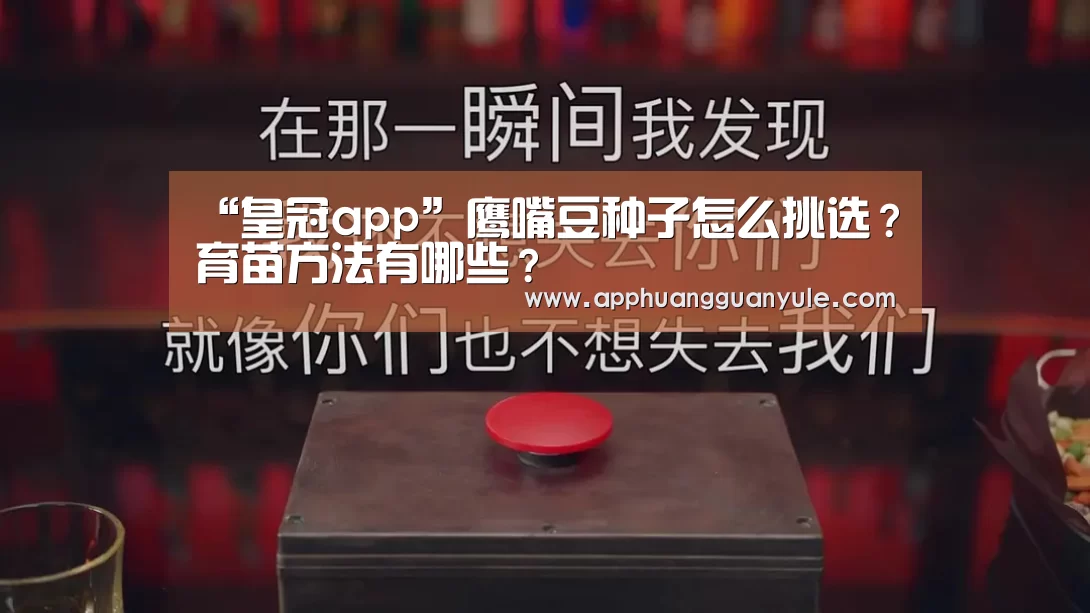 皇冠娱乐